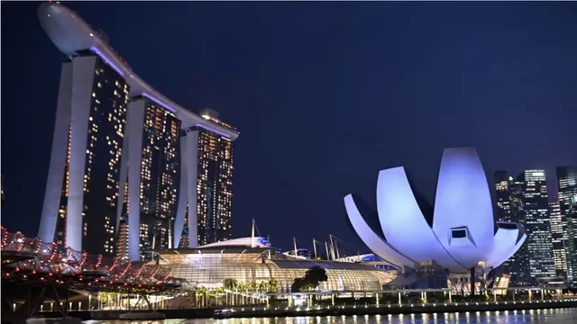 Singapore growth principles