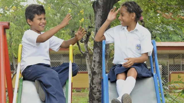 Algorithm for the subculture emergence